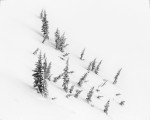 Winter - 25