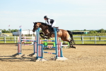 SBM_003193