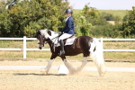 SBM_003744
