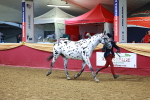 SBM_16149