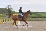 BPP_3536