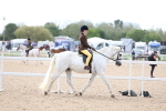 SBM_18305