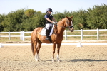 SBM_007504