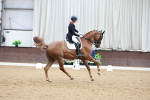 SBM_014495