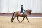 SBM_001038