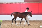 BPP_2191