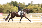 Class 11 - Advanced Medium 6 portfolio