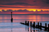 z2049  Sunrise, Shanklin Beach