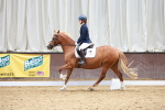 SBM_010339