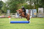 Class 2 40cm portfolio
