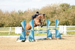 SBM_001355