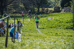 The Finish-2311
