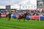 210826-Race 1-Blue Courvoisier-4970