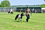 SBM_03576
