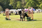 SBM_11275