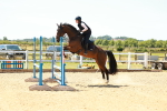 SBM_006044