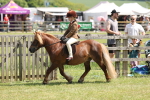 SBM_05335