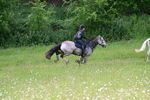WJ7_8646