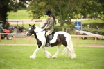 SBM_73551