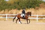 SBM_017725