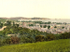 Torquay 8