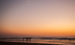 Cordoama Beach 7322