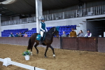 SBM_012889