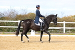 3E7A9652