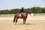 SBM_005078