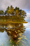 Ennerdale Autumn