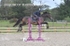 BPP_5276