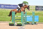 Cls 29 Snr Foxhunter portfolio