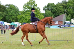 SBM_02730