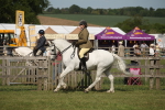 SBM_09576