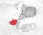 Leo 44