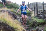 Langdale -1209