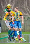 GFC v Basingstoke Town-67