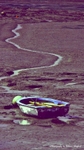 BeFunky_CrossProcess_16