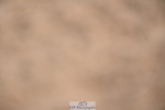 240323A-101306-01328