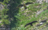 Conflit territorial
