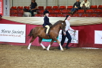 SBM_14653