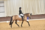 SBM_010347