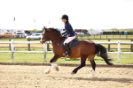 SBM_000437