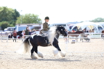 SBM_11371
