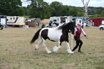 WJ6_5377