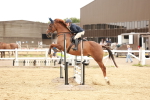 SBM_008441