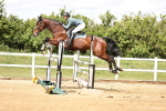SBM_003491