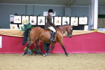 SBM_00231