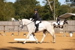 SBM_18438