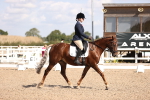 SBM_03566